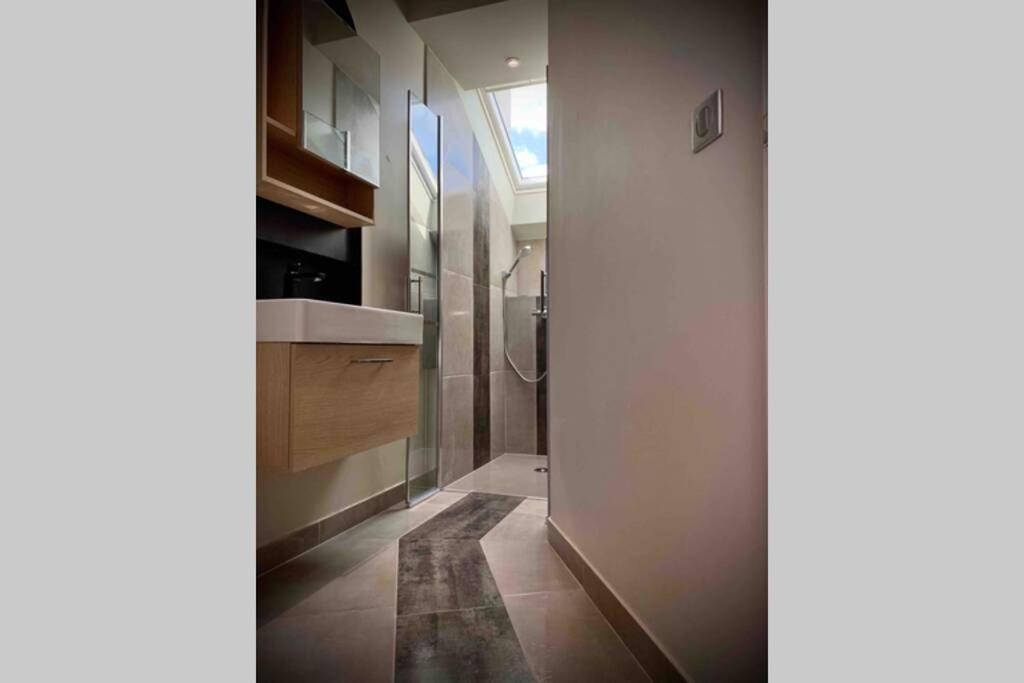 Appartement Meylan Ile Amour エクステリア 写真